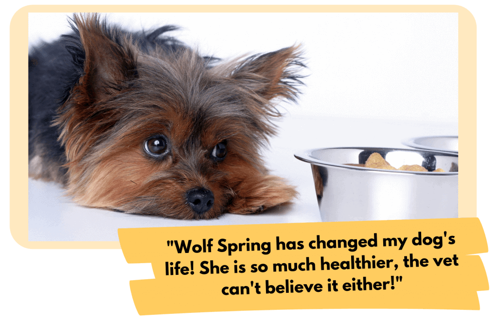 wolf spring for puppies, review