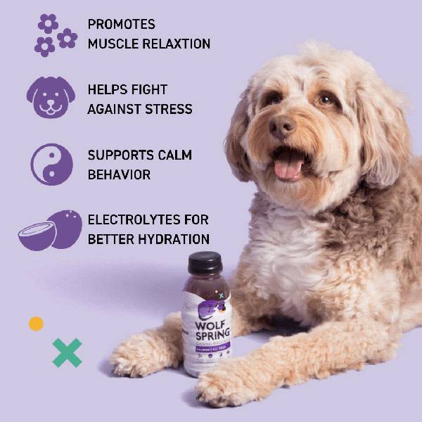 calming supplements for dogs, separation anxiety treatment for dogs, wolf spring, ingredients, benefits
