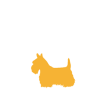 small dog breed icon