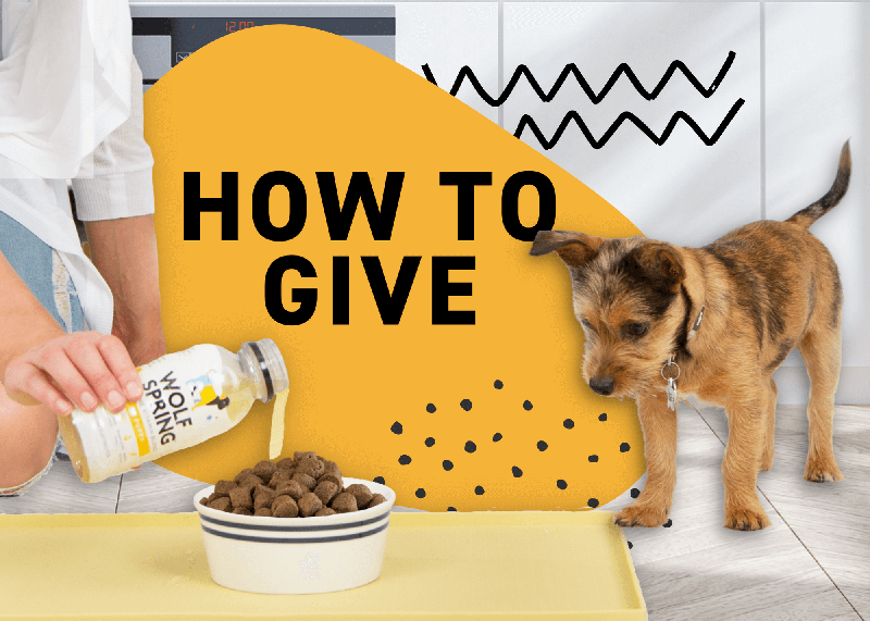 how to give dog supplements