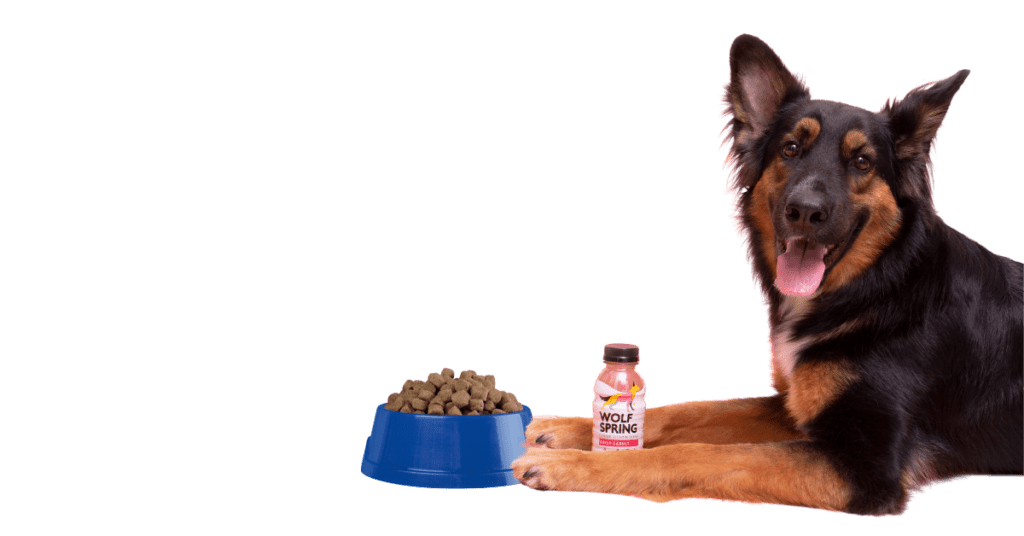 dog supplements subscription