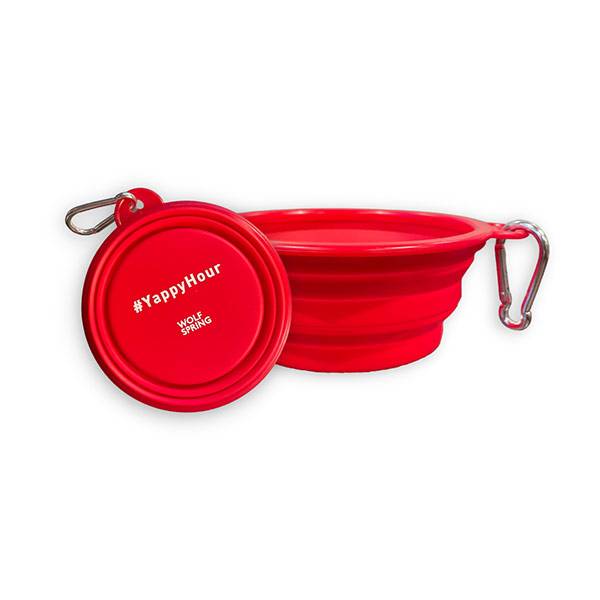 collapsible bowl for puppies