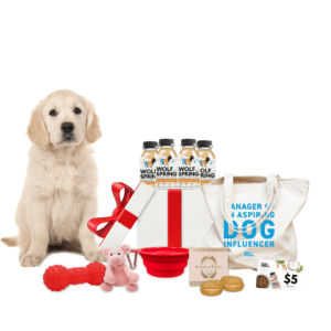 puppy starter pack, essentials for new puppy, pet owners essentials for puppies, what to gift if person gets a puppy, essentials products for puppies, wolf spring