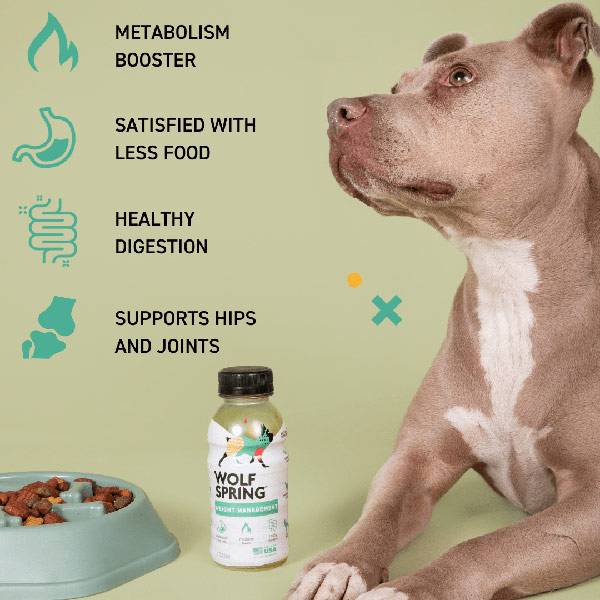 weight management dog supplements for dogs, wolf spring, weight loss supplements for dogs, benefits
