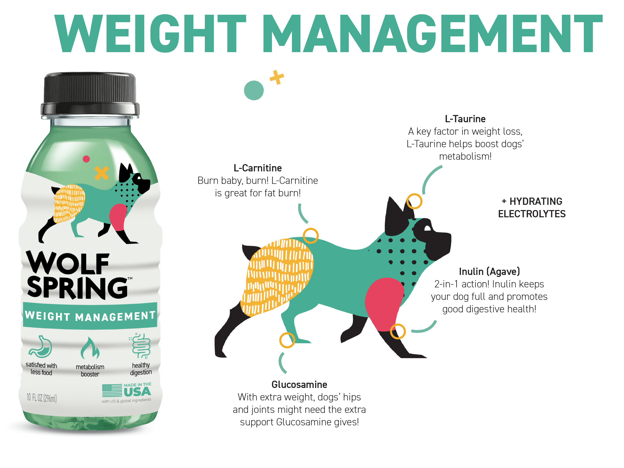 weight management - wolf spring - best dog food for weight management
