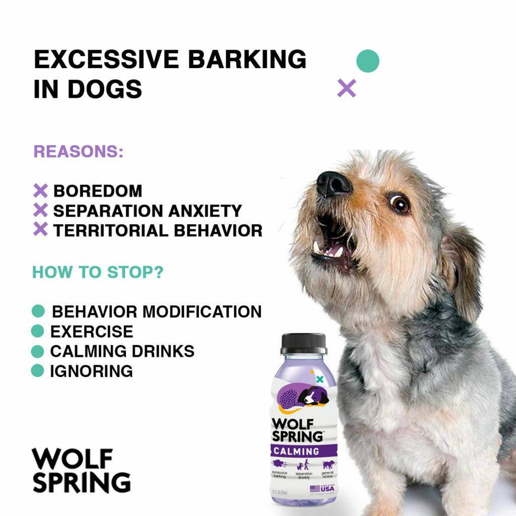 Excessive Dog Barking Main Reasons, excessive dog barking, how to stop dogs from barking constantly 