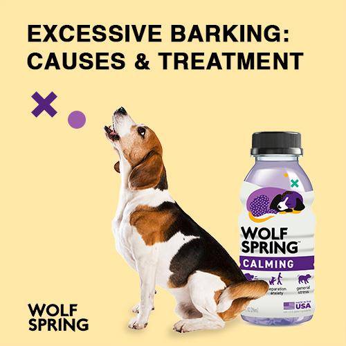 excessive dog barking, how to treat excessive barking, what causes excessive barking in dogs
