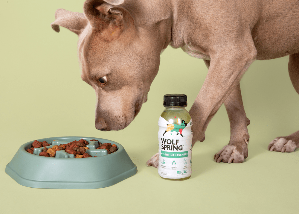 weight management in dogs